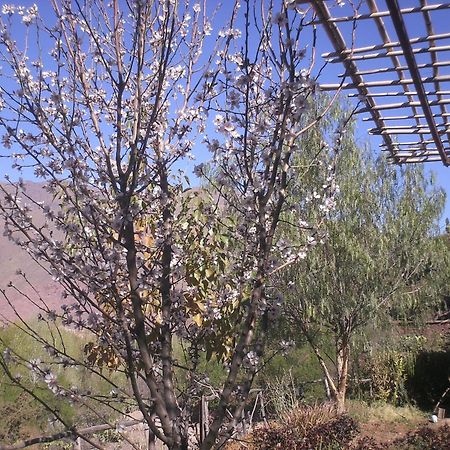 Auberge Tigmmi N'Tamazirte Ijjoukak Εξωτερικό φωτογραφία